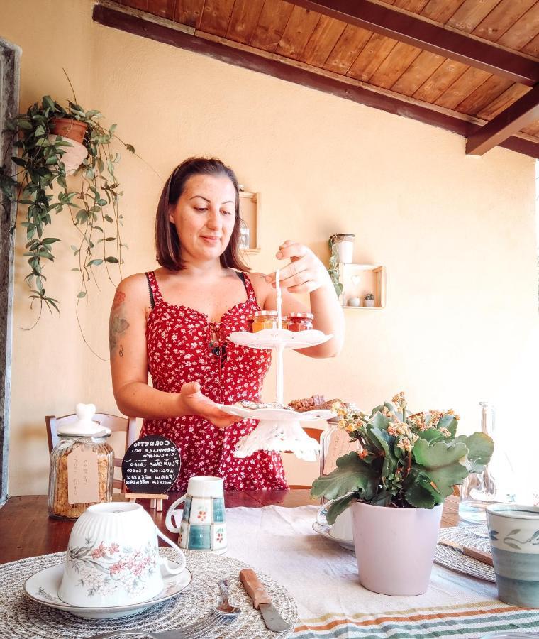 Bed and Breakfast Casale Dei Ricordi Arce Экстерьер фото