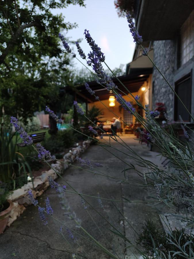 Bed and Breakfast Casale Dei Ricordi Arce Экстерьер фото