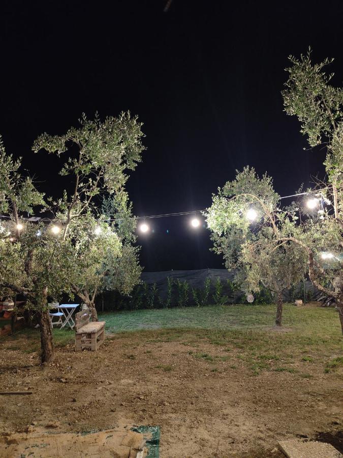 Bed and Breakfast Casale Dei Ricordi Arce Экстерьер фото