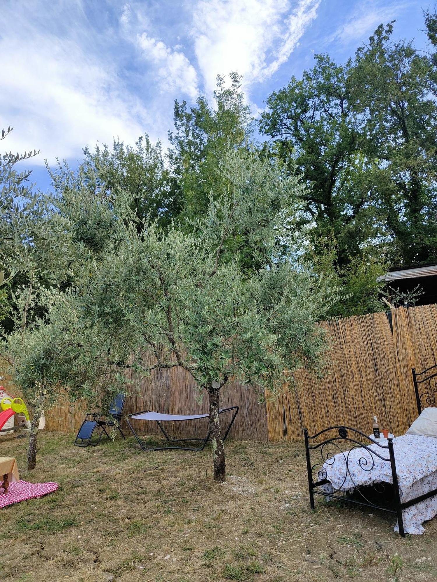 Bed and Breakfast Casale Dei Ricordi Arce Экстерьер фото